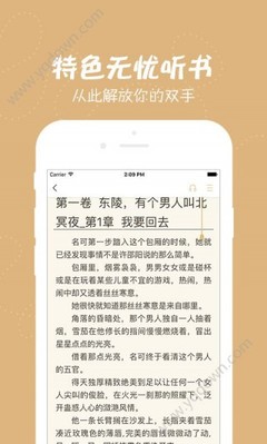 爱游戏APP网页版入口